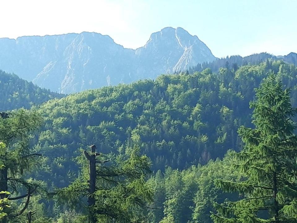 Prywatne-romanowka Privatunterkunft Zakopane