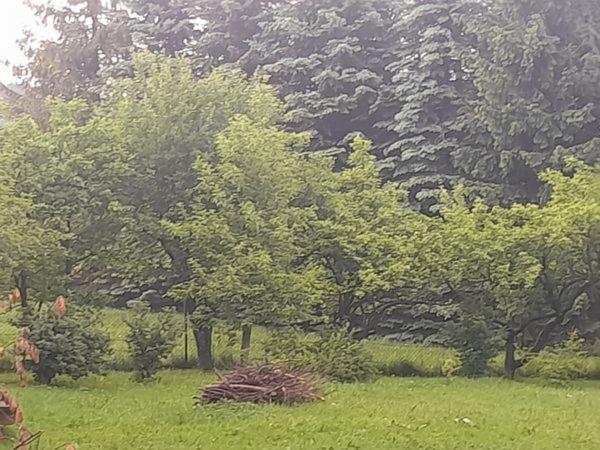 Prywatne-romanowka Privatunterkunft