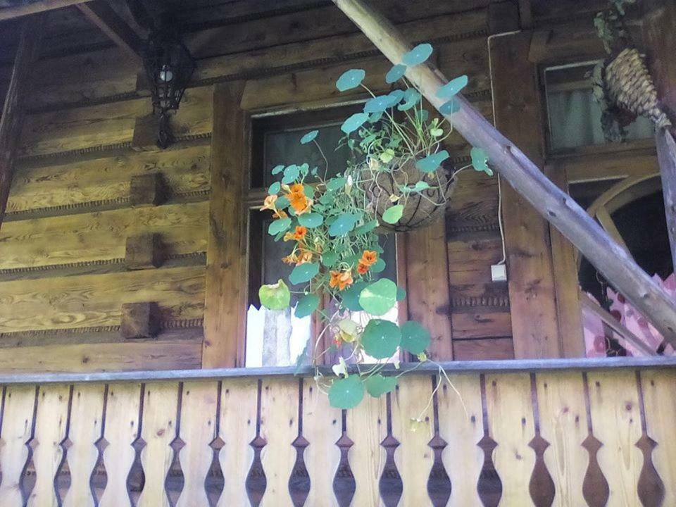 Ubytovanie v rodine Prywatne-romanowka